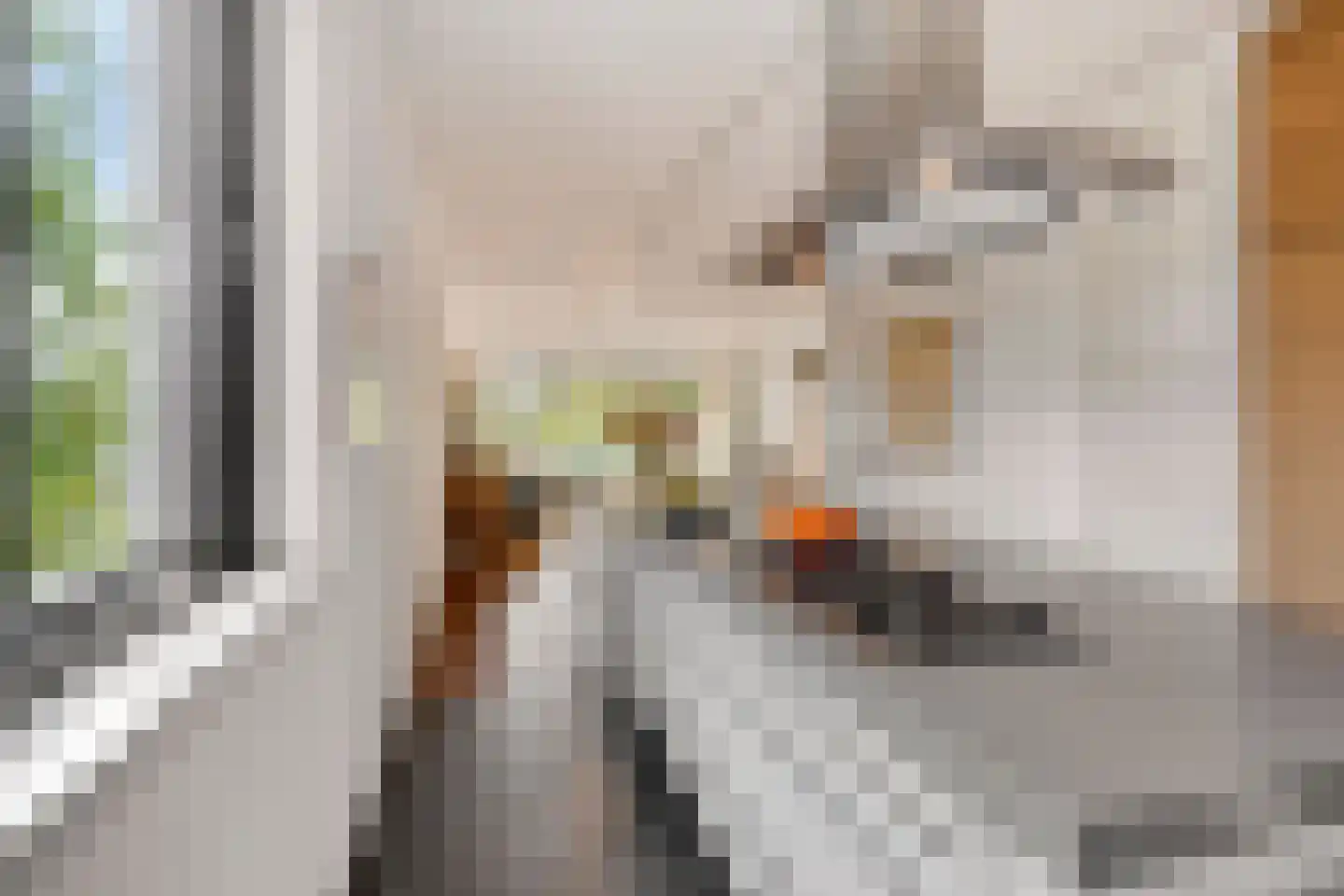 Elzentlaan 55 Eindhoven thumbnail 26