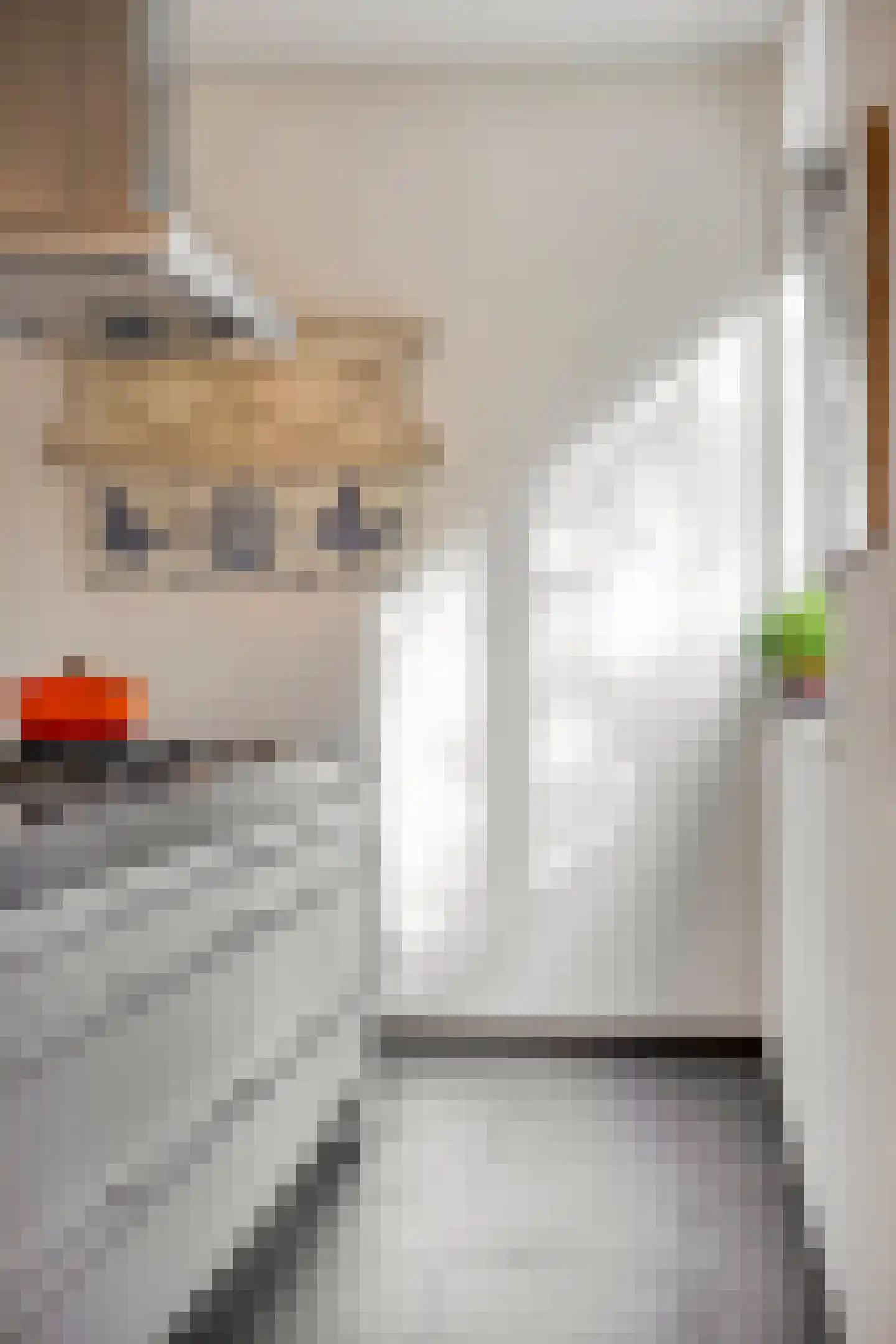 Elzentlaan 55 Eindhoven thumbnail 31