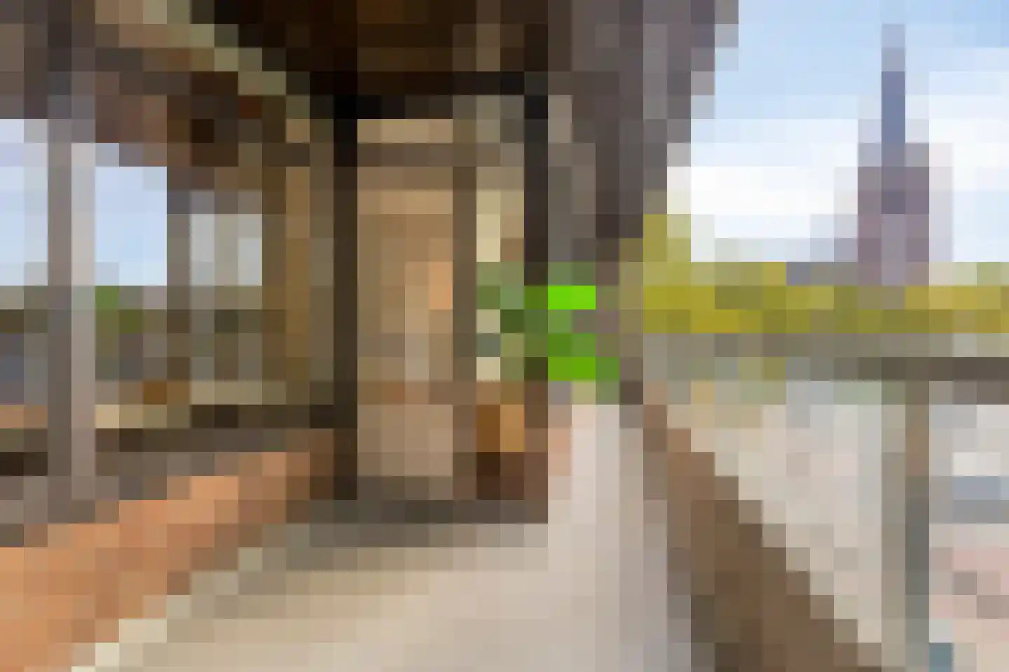 Elzentlaan 55 Eindhoven thumbnail 33