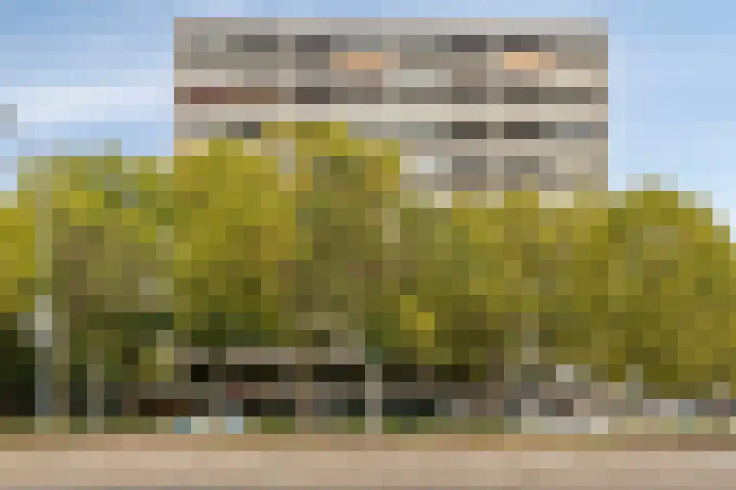 Elzentlaan 55 Eindhoven thumbnail 5