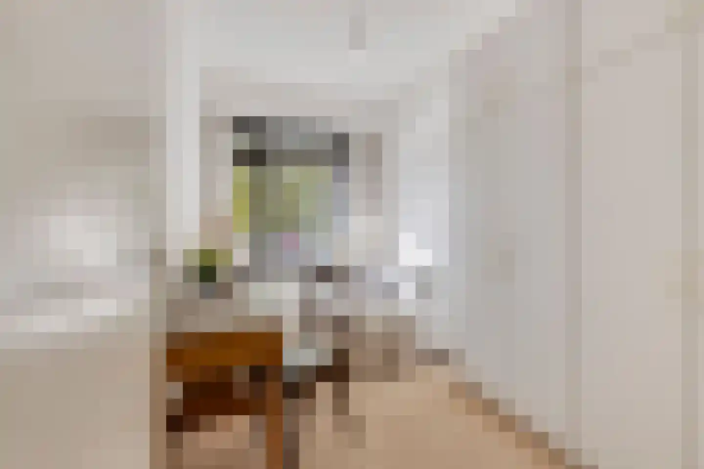 Elzentlaan 55 Eindhoven thumbnail 52