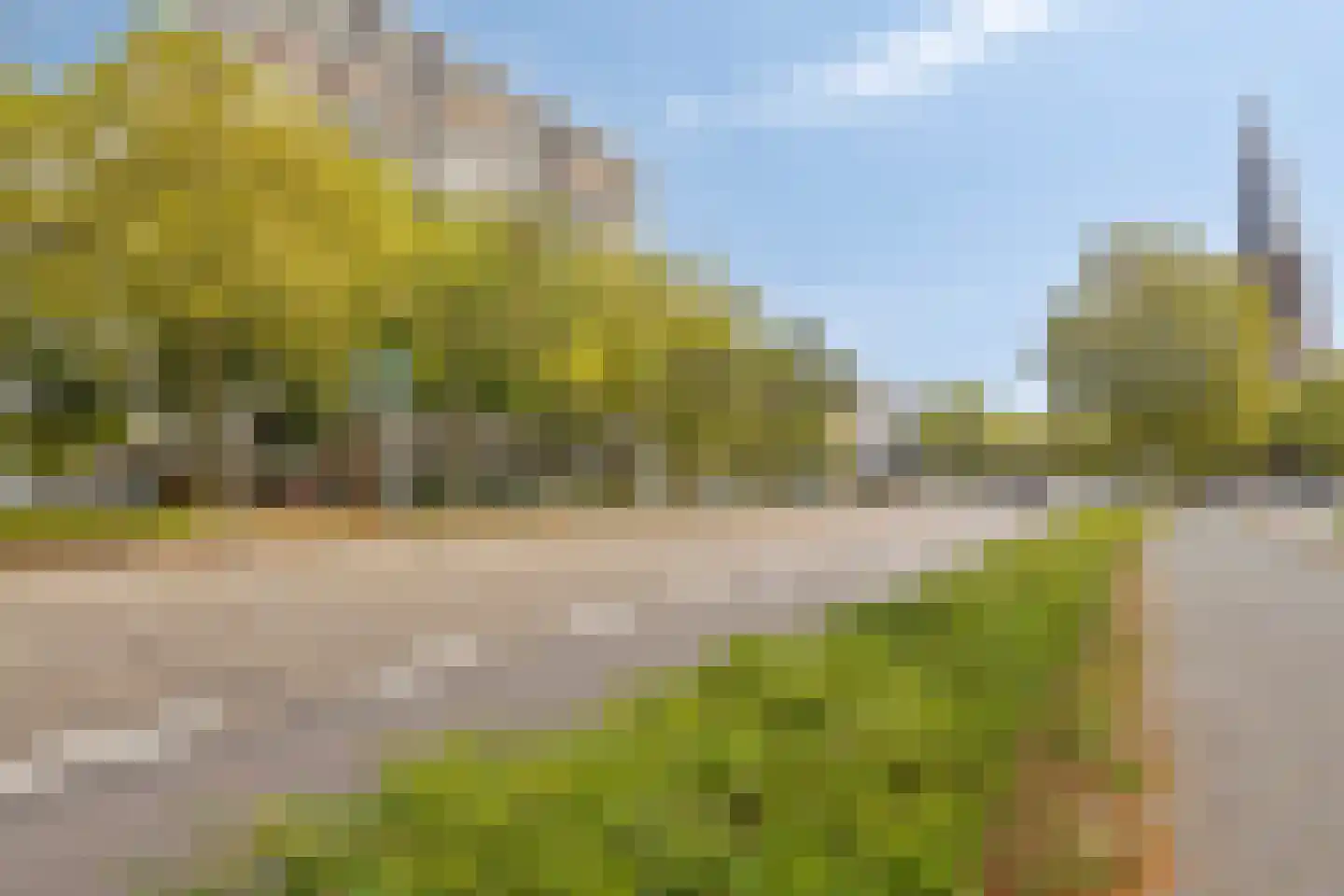 Elzentlaan 55 Eindhoven thumbnail 6