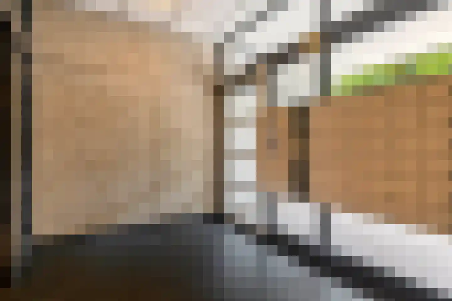 Elzentlaan 55 Eindhoven thumbnail 8