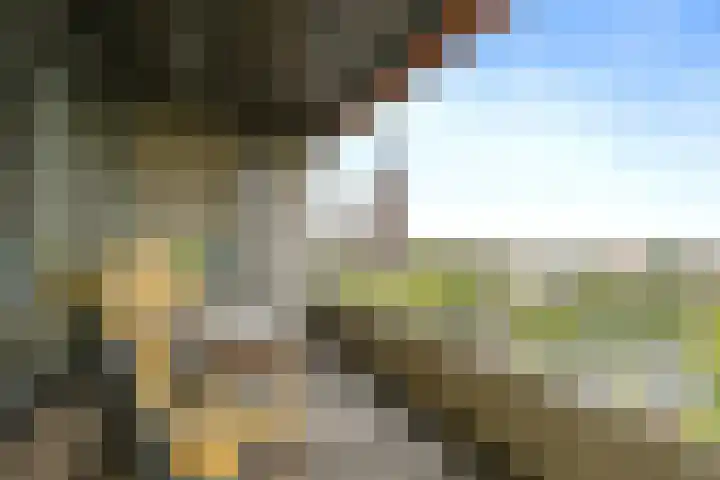 Elzentlaan 93 Eindhoven thumbnail 15