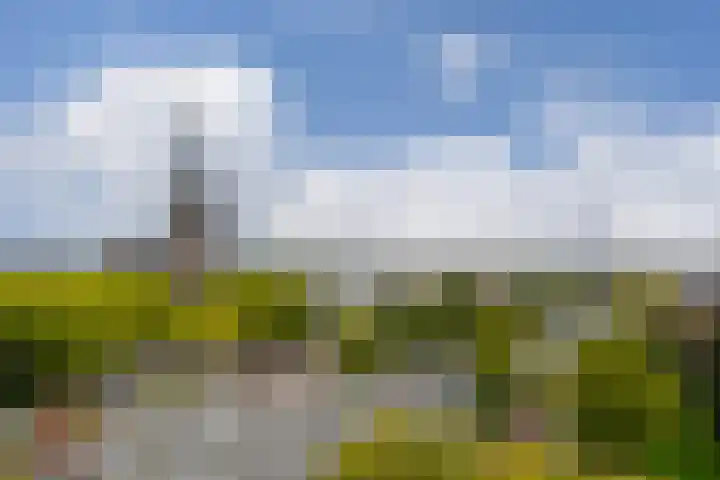 Elzentlaan 93 Eindhoven thumbnail 16