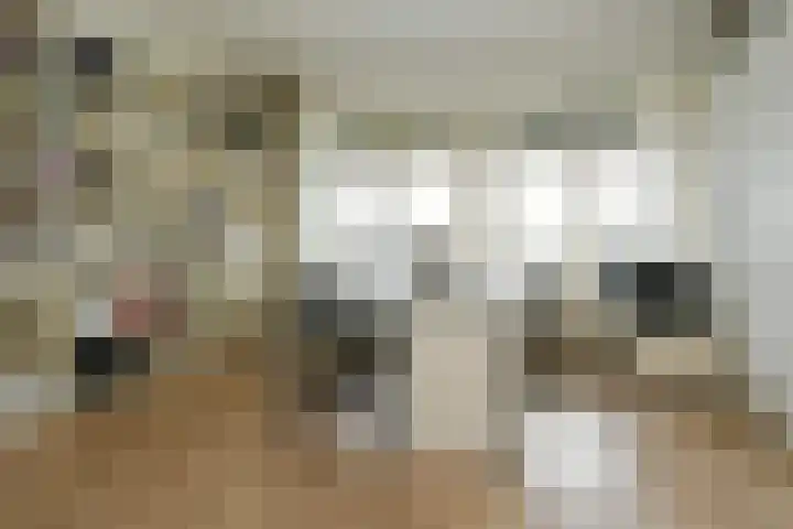Elzentlaan 93 Eindhoven thumbnail 17