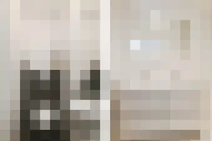 Elzentlaan 93 Eindhoven thumbnail 19