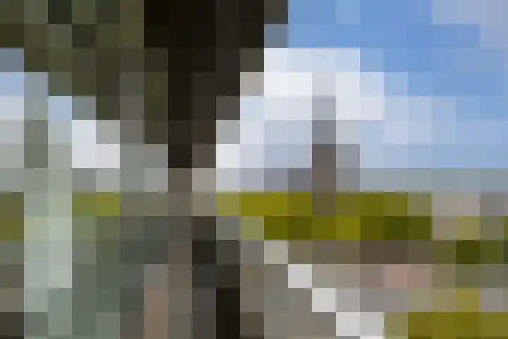Elzentlaan 93 Eindhoven thumbnail 21