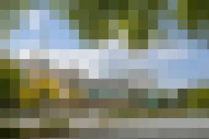 Elzentlaan 93 Eindhoven thumbnail 24