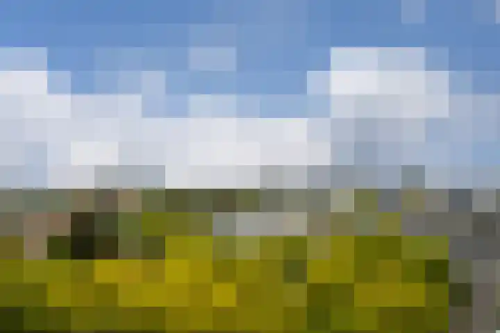 Elzentlaan 93 Eindhoven thumbnail 4