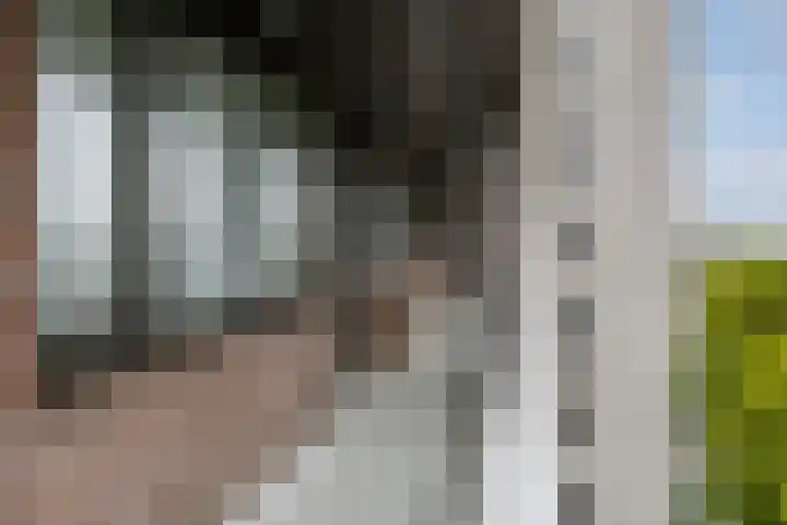 Elzentlaan 93 Eindhoven thumbnail 6