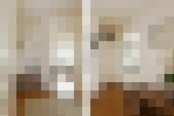 Elzentlaan 93 Eindhoven thumbnail 7