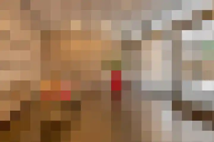 Elzentlaan 99 Eindhoven thumbnail 12