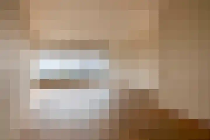 Elzentlaan 99 Eindhoven thumbnail 19
