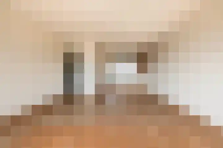 Elzentlaan 99 Eindhoven thumbnail 21