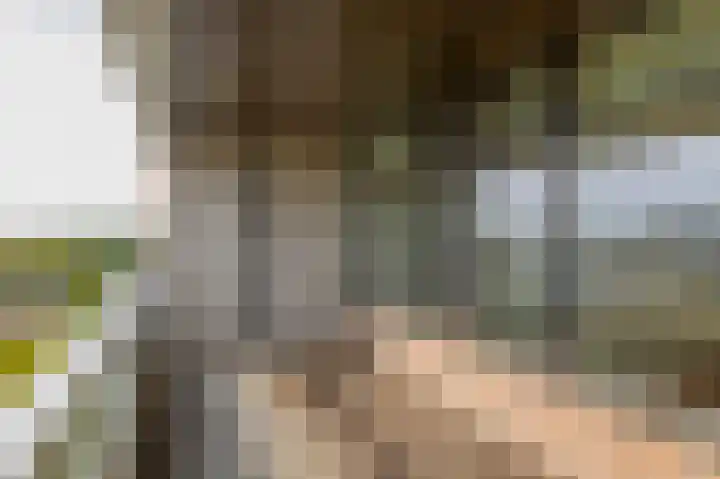 Elzentlaan 99 Eindhoven thumbnail 26