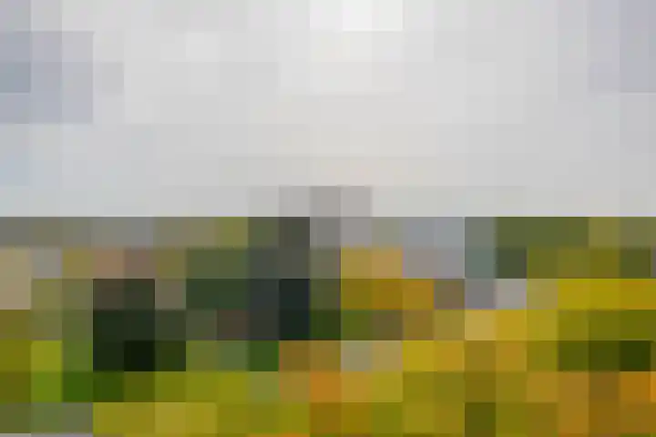 Elzentlaan 99 Eindhoven thumbnail 27