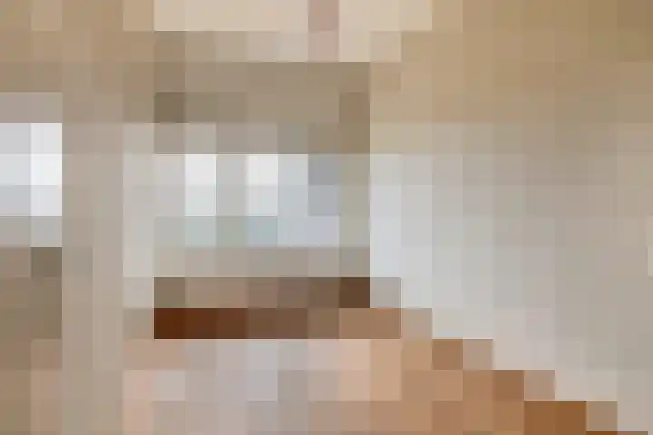 Elzentlaan 99 Eindhoven thumbnail 30