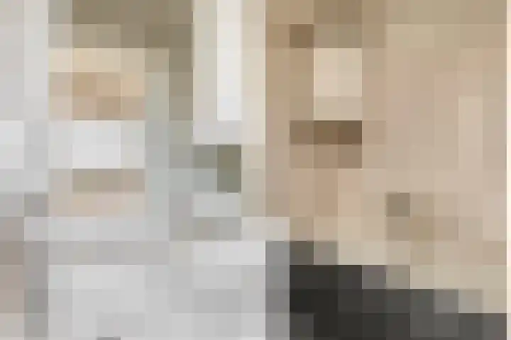 Elzentlaan 99 Eindhoven thumbnail 32