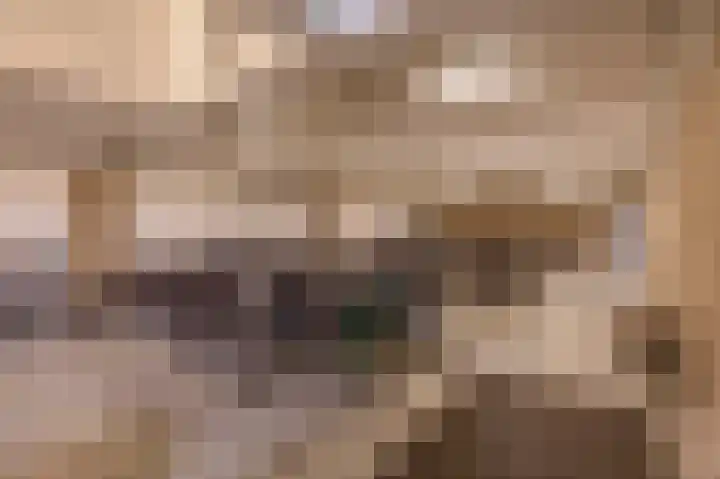 Elzentlaan 99 Eindhoven thumbnail 35
