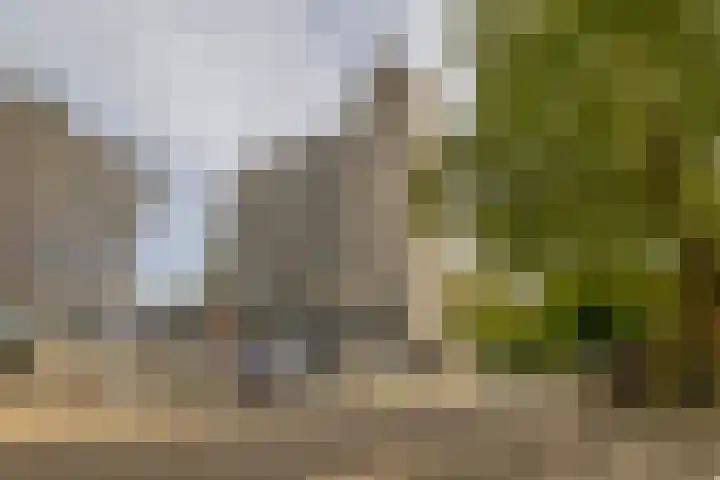 Elzentlaan 99 Eindhoven thumbnail 6