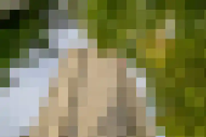 Elzentlaan 99 Eindhoven thumbnail 8