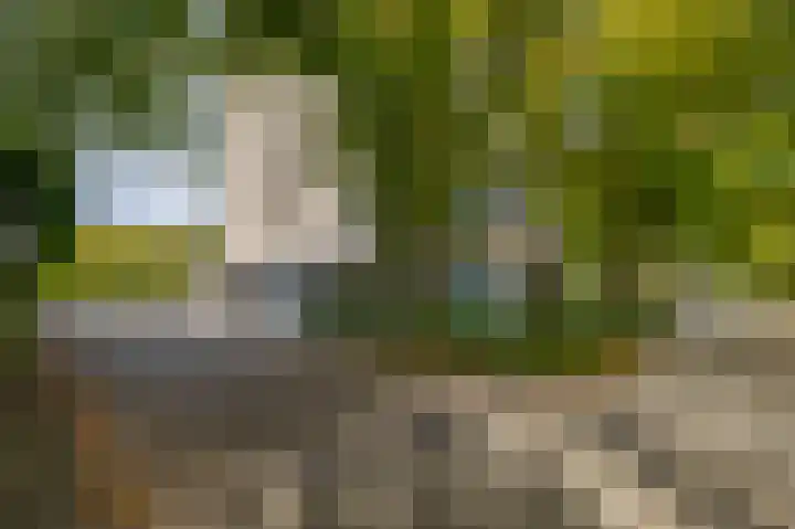 Elzentlaan 99 Eindhoven thumbnail 9