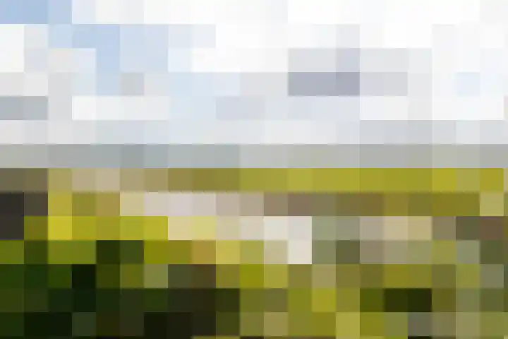 Elzenuil 11 Driebruggen thumbnail 12