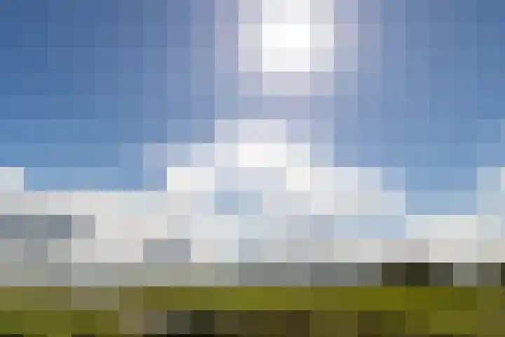 Elzenuil 14 Driebruggen thumbnail 11