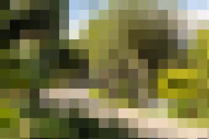 Elzenuil 14 Driebruggen thumbnail 13