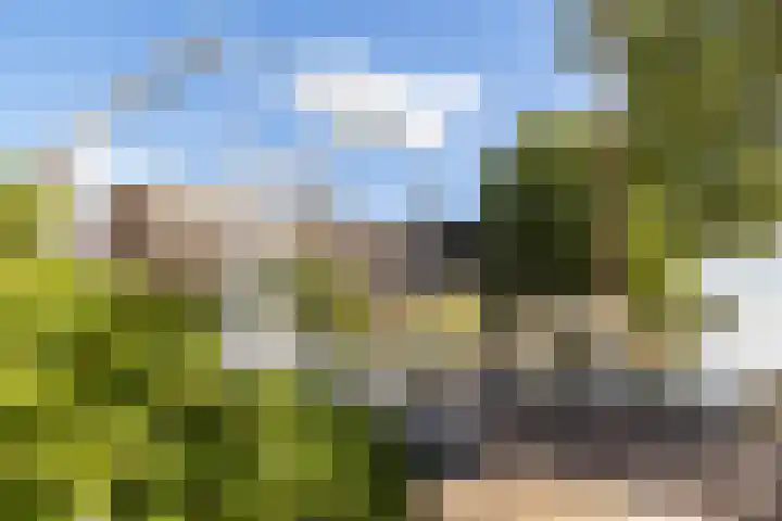 Elzenuil 14 Driebruggen thumbnail 15