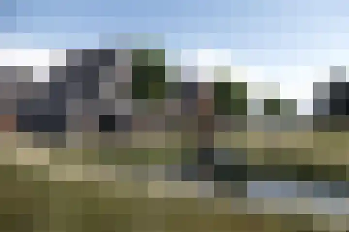 Elzenuil 14 Driebruggen thumbnail 19