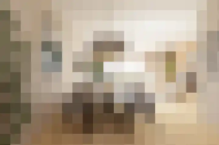 Elzenuil 14 Driebruggen thumbnail 5