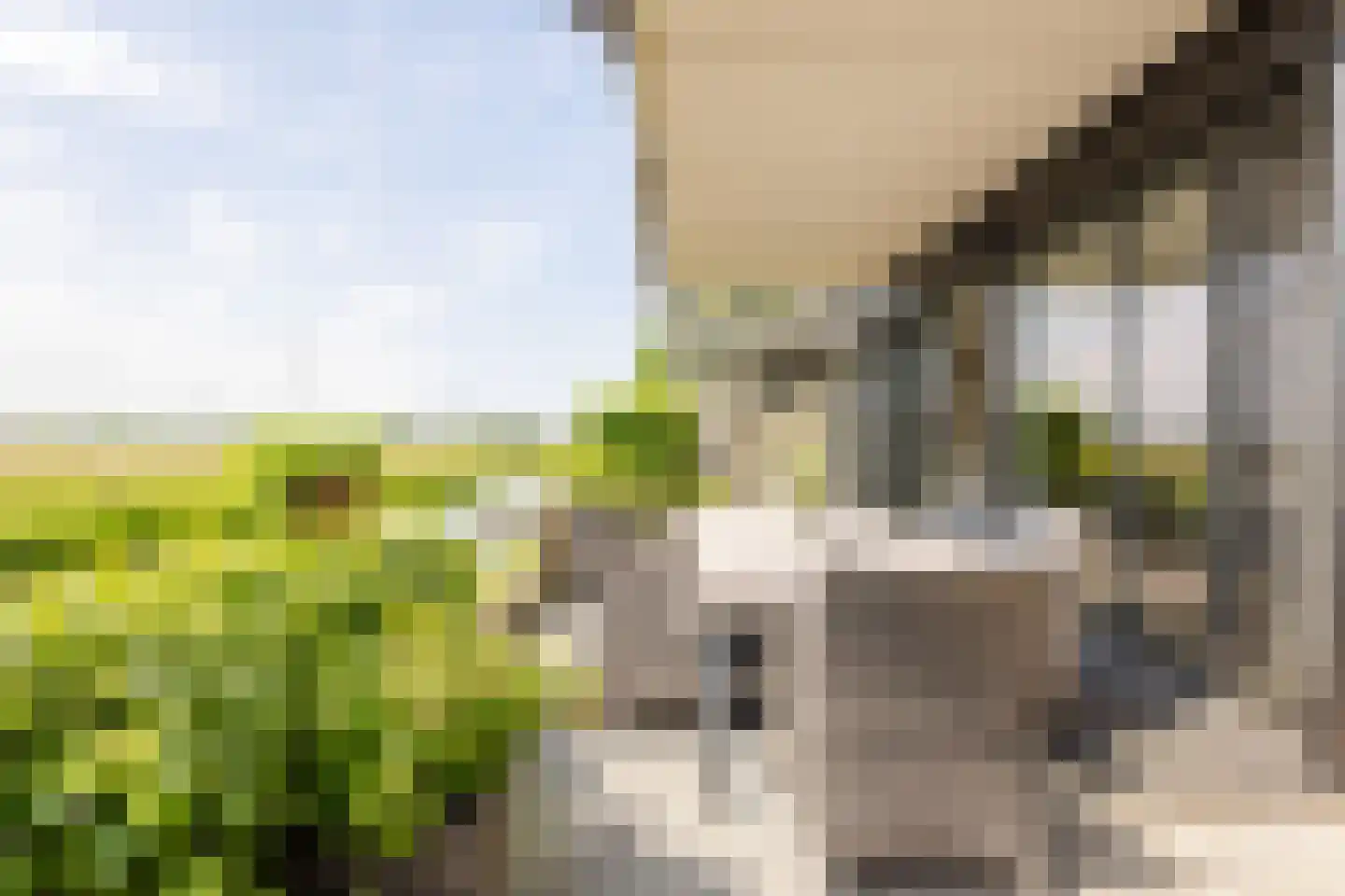 Elzenweg 16 Nieuw-Lekkerland thumbnail 17