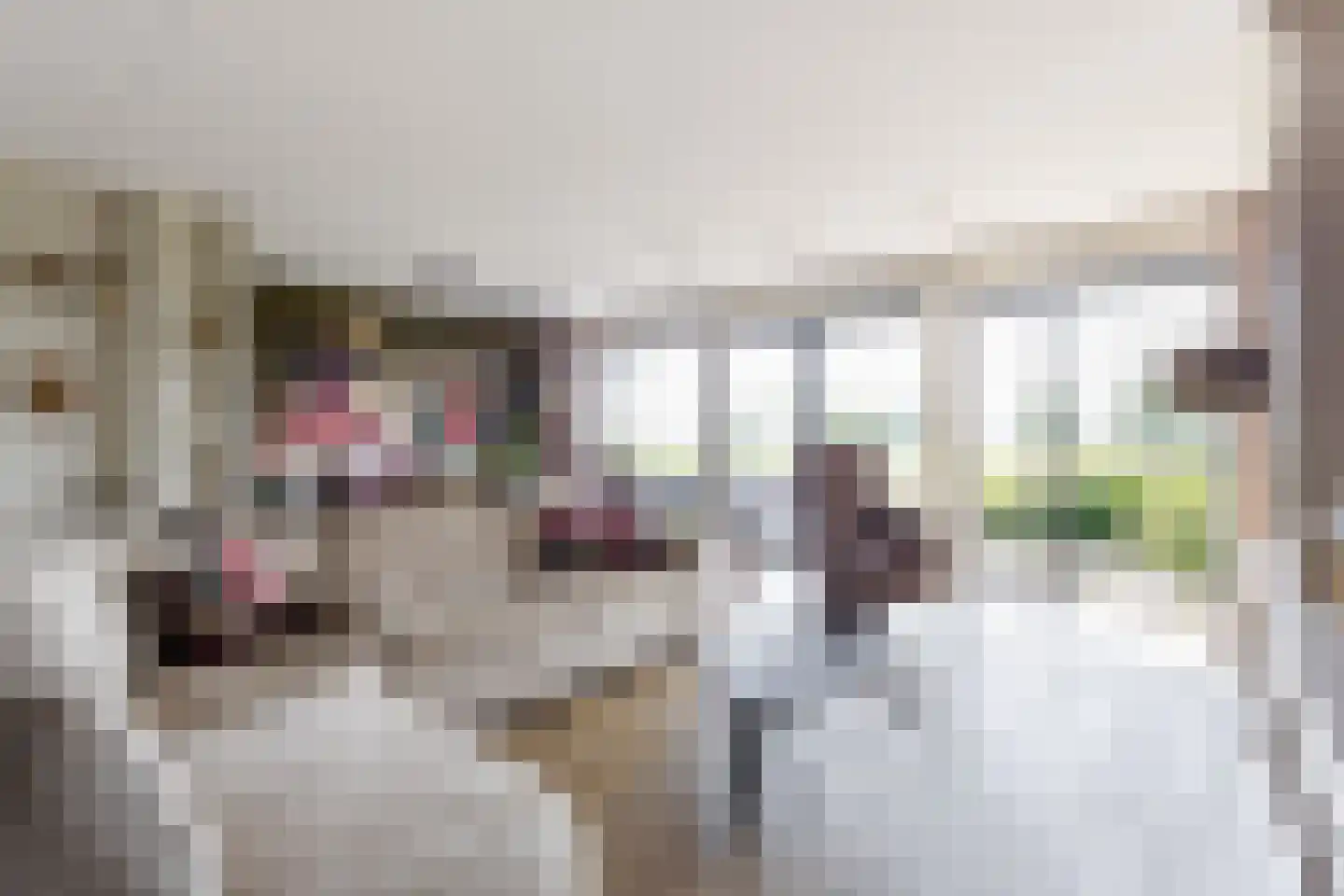 Elzenweg 16 Nieuw-Lekkerland foto 2