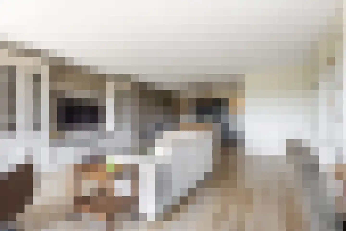 Elzenweg 16 Nieuw-Lekkerland thumbnail 4