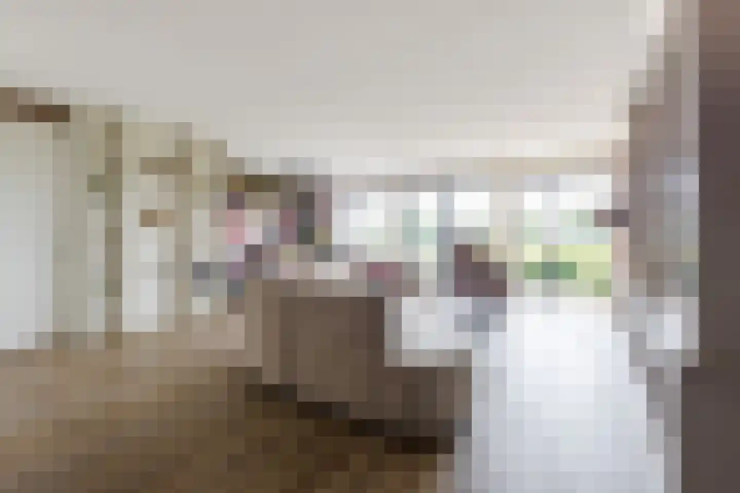 Elzenweg 16 Nieuw-Lekkerland thumbnail 7