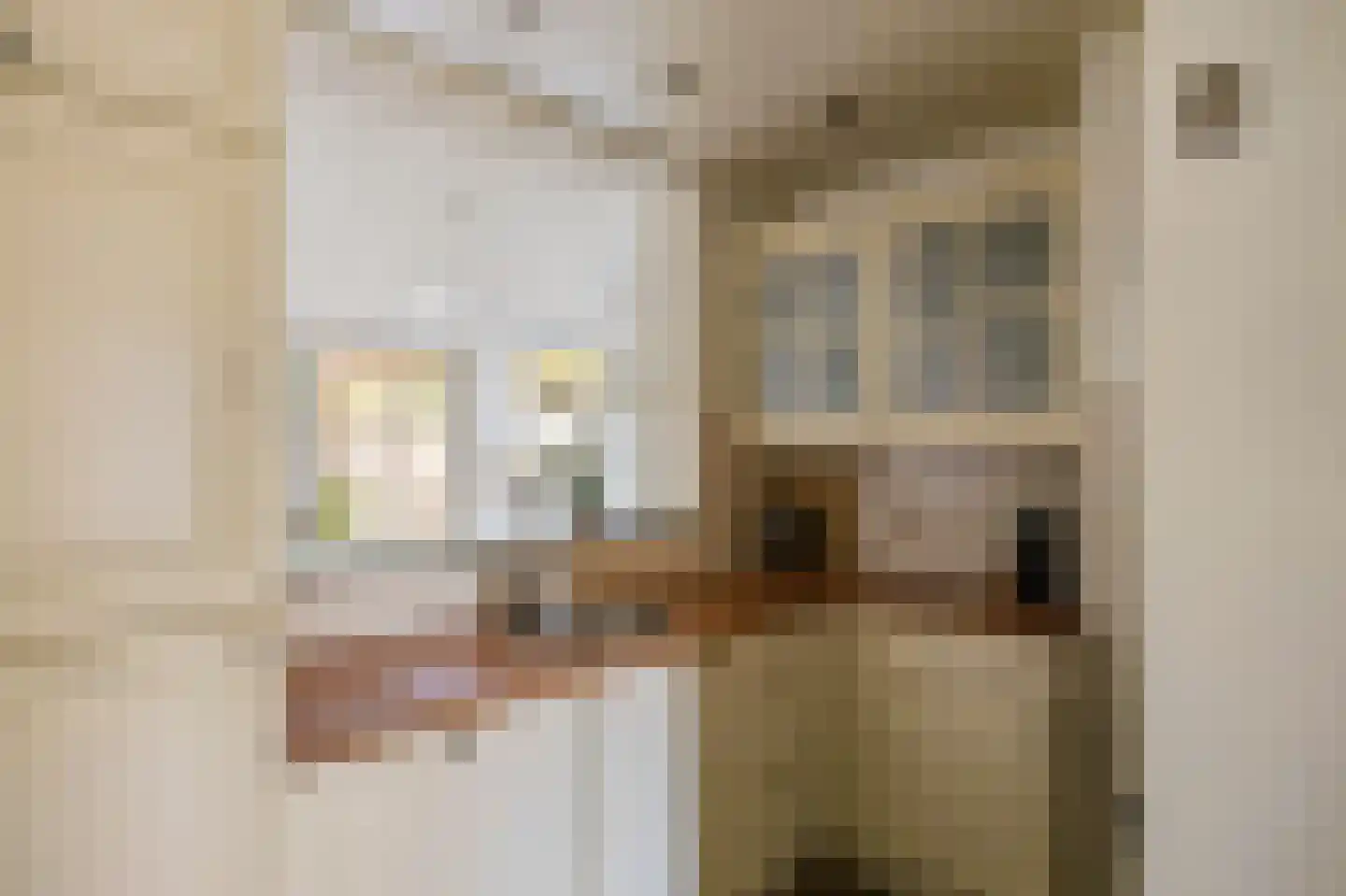 Elzenweg 34 Maasbracht thumbnail 12