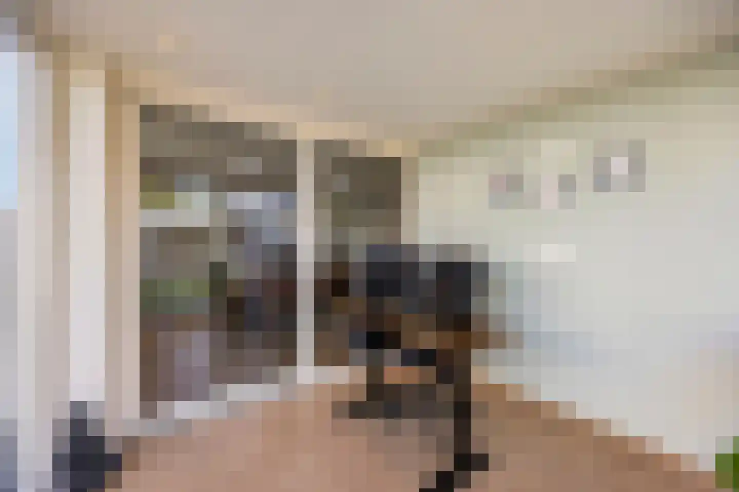 Elzenweg 34 Maasbracht thumbnail 17