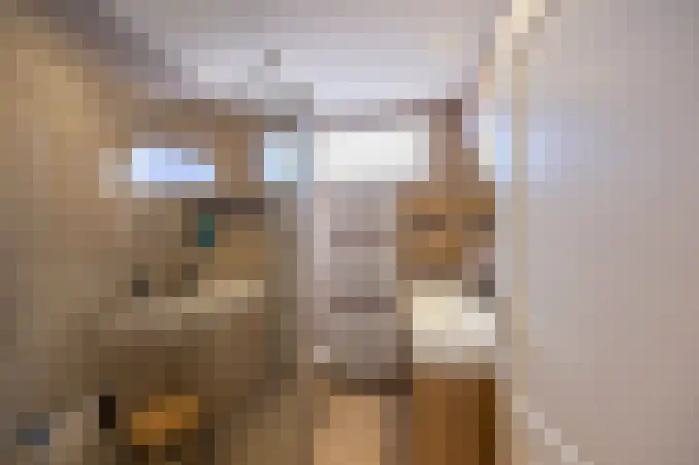Elzenweg 34 Maasbracht thumbnail 23