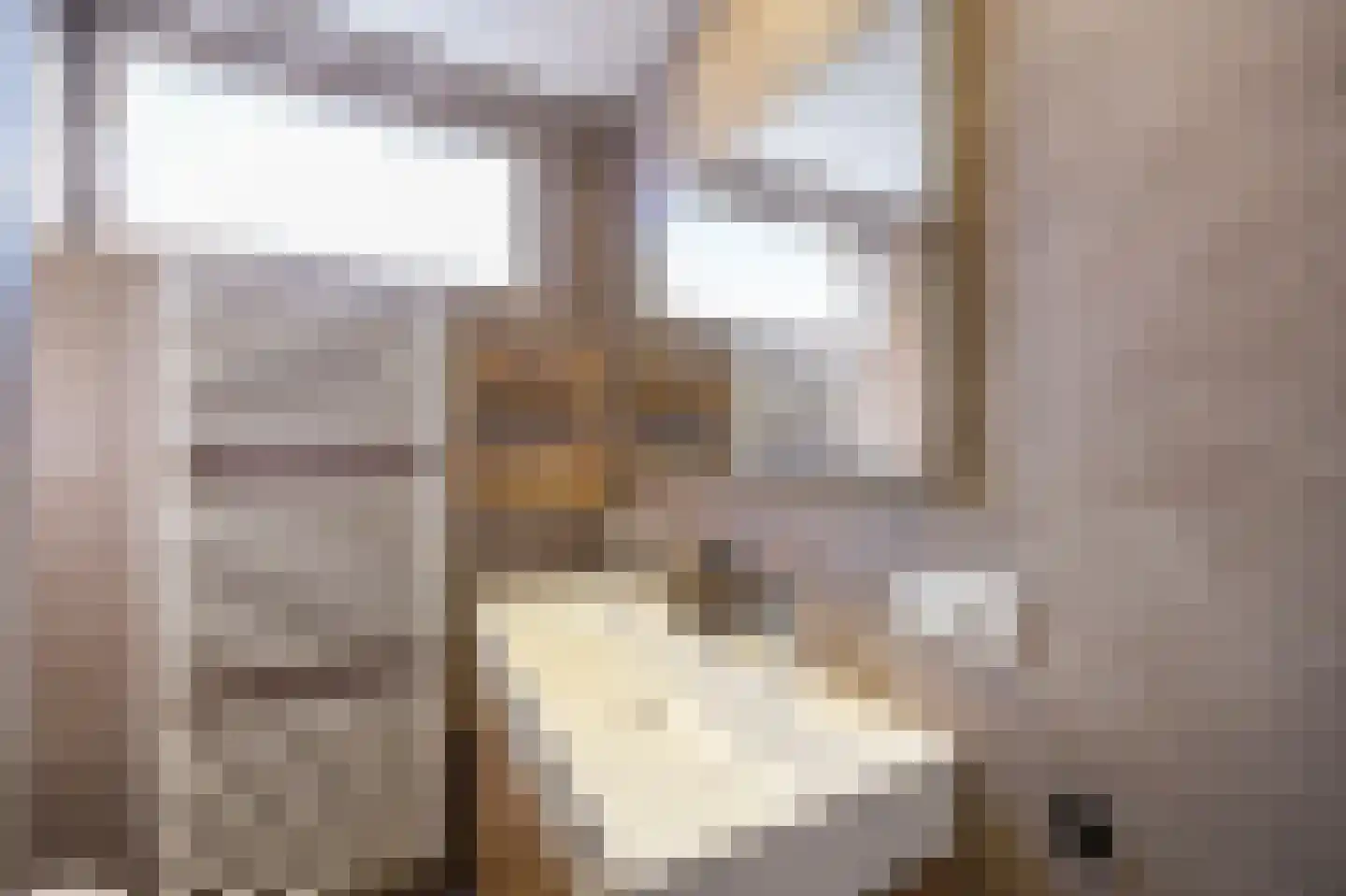 Elzenweg 34 Maasbracht thumbnail 24