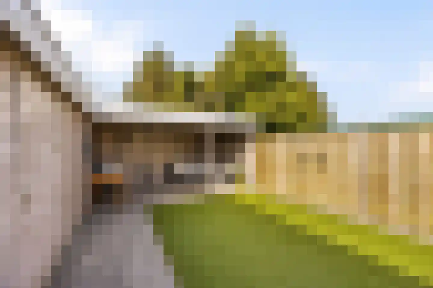 Elzenweg 34 Maasbracht thumbnail 32