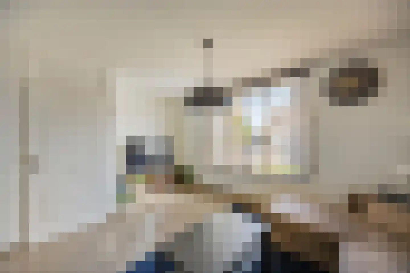 Elzenweg 34 Maasbracht thumbnail 9