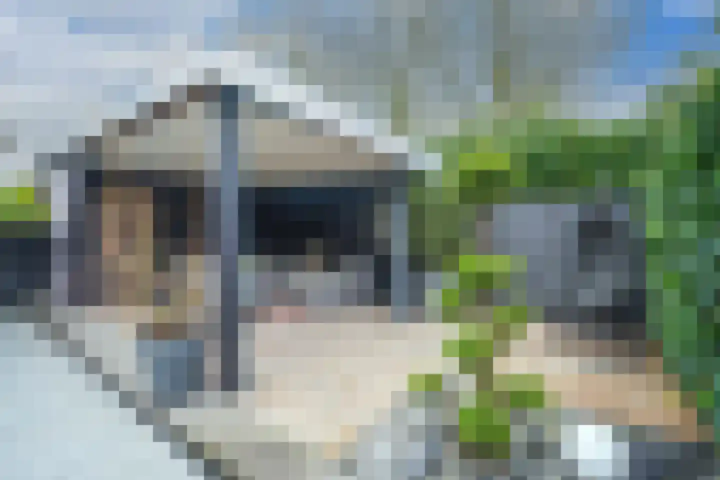 Elzenweg 59 Wijchen thumbnail 32