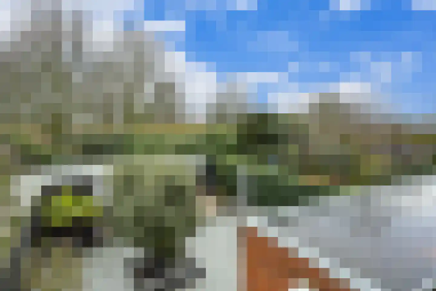 Elzenweg 59 Wijchen thumbnail 49