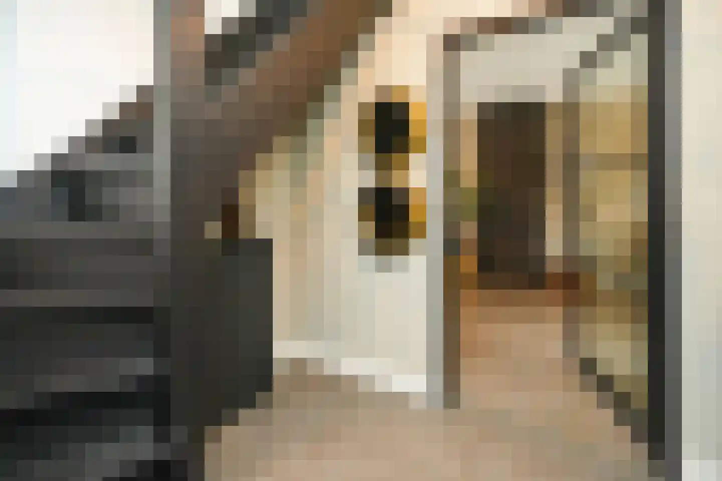 Elzenweg 59 Wijchen thumbnail 5
