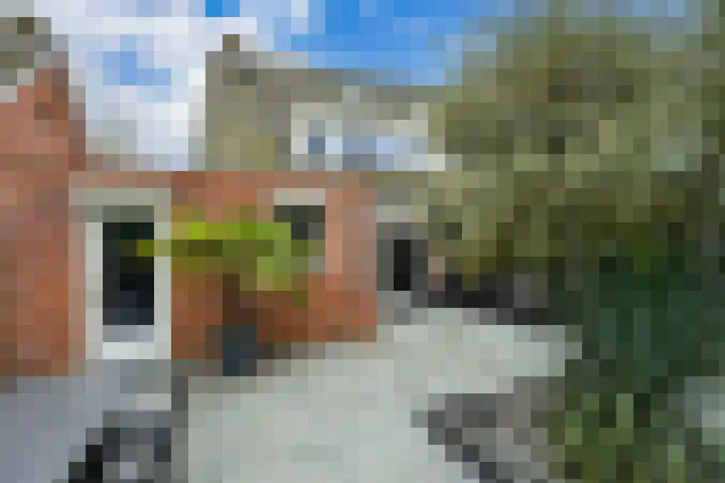 Elzenweg 59 Wijchen thumbnail 60