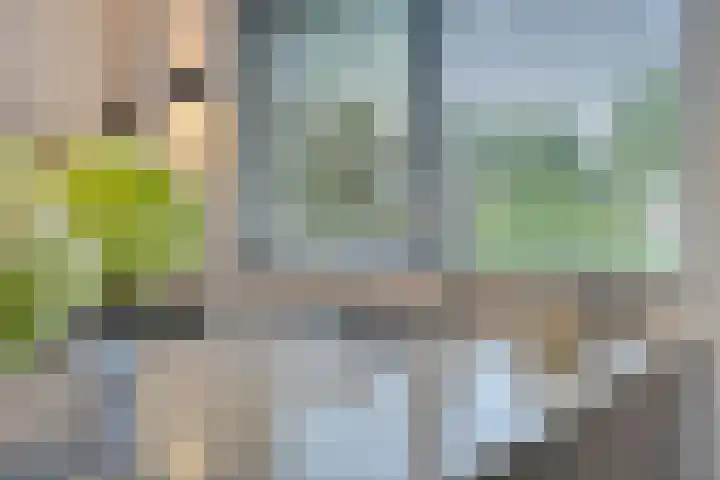 Elzenweg 8 Wijchen thumbnail 11