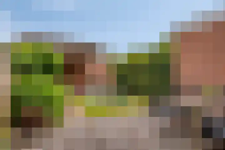 Elzenweg 8 Wijchen thumbnail 29