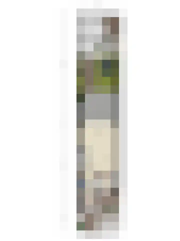 Elzenweg 8 Wijchen thumbnail 34